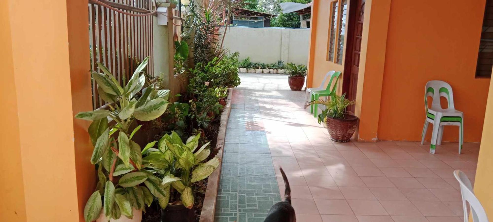 Jessa'S 5 Guests House Hotel Moalboal Exterior photo